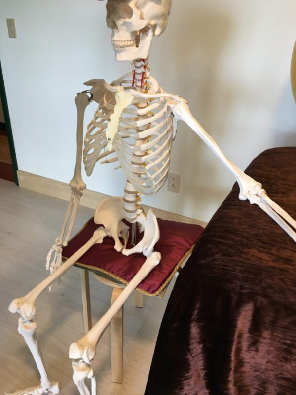 Machin is using its sit bones (ischial tuberosities) in a position of mechanical advantage. This will allow the whole body to follow and organize itself at its best for a safe and efficient way to be and to move.