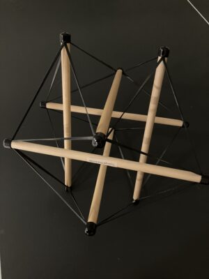 How to think about our body: the tensegrity model replaces the "stacked bricks" one.